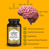 Lipogen PS Plus – mémoire et attention potentiels.