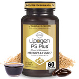 Lipogen PS Plus – emballage mémoire, soutien cognitif potentiel.