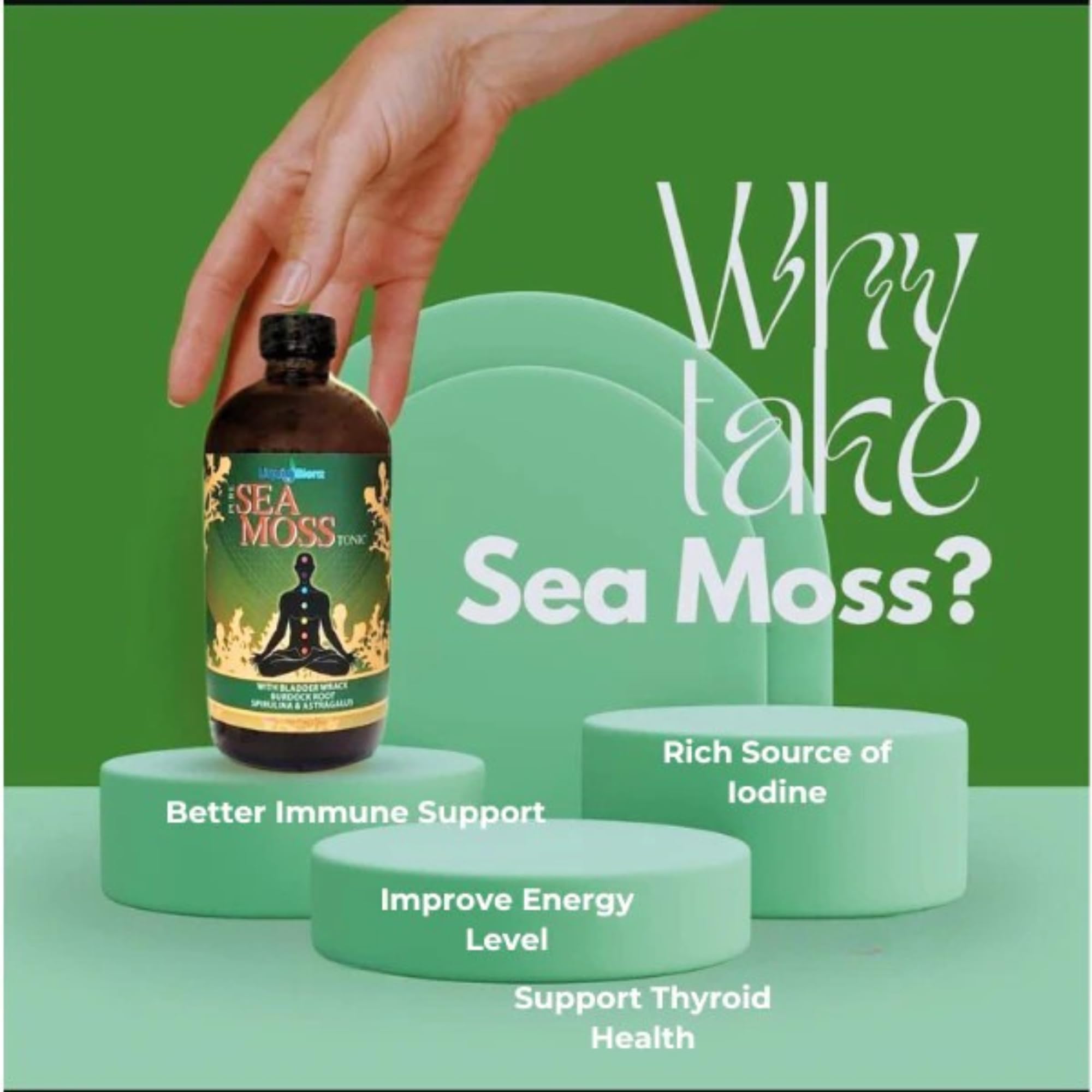 LIQUID BLENZ ingrédients à base d'algues marines et d'herbes naturelles.