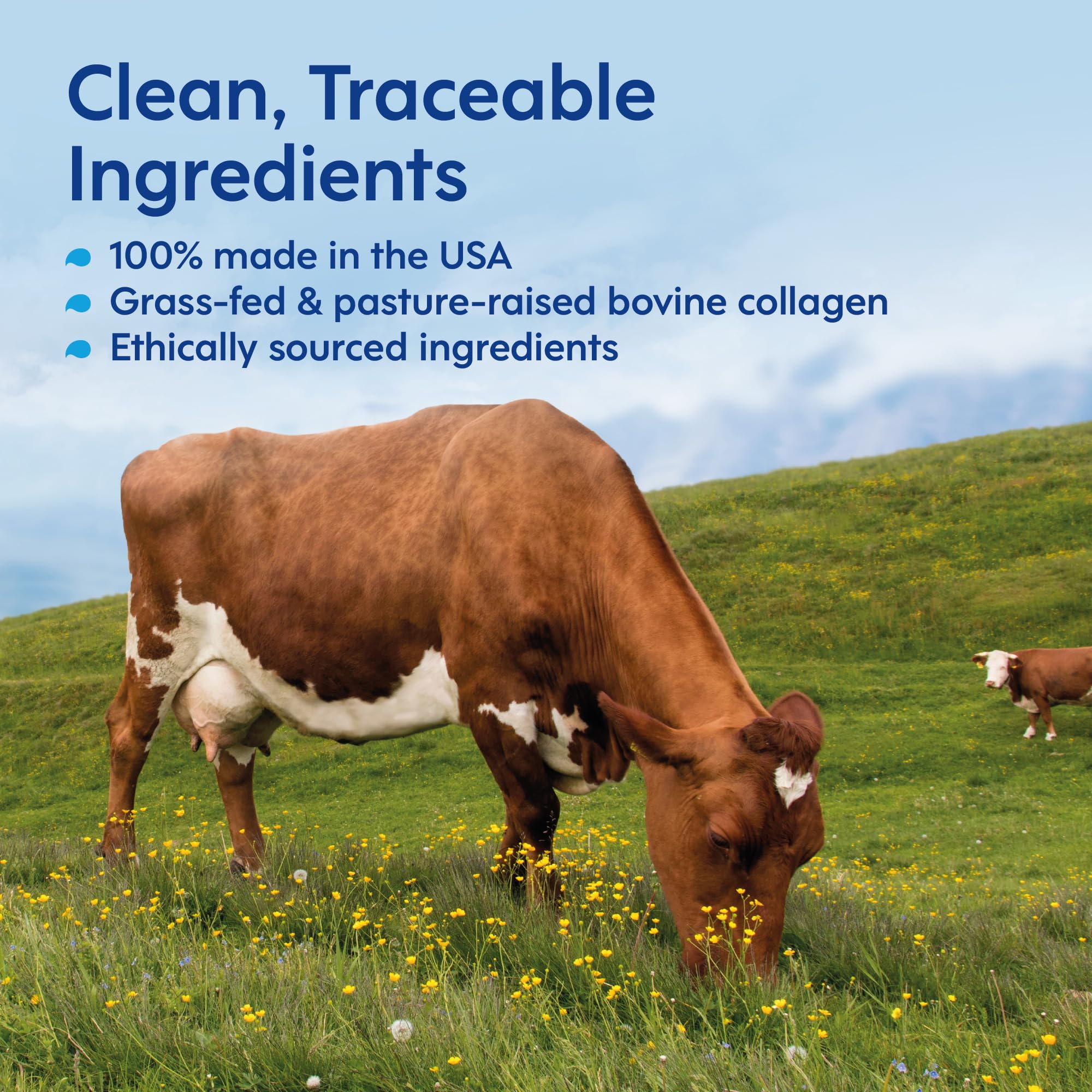 Liquid Collagen Stix benefices-peau-cheveux-ongles: peut soutenir cheveux et peau au quotidien.