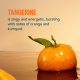 Gros plan sur la saveur orange-kumquat de Liquid I.V. Tangerine.