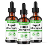 LIQUIDHEALTH Gouttes Chlorophylle – flacon pour haleine fraîche et détox intérieur