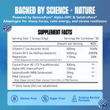 Doseuse Lithios Brain Fuel Plus Hydration Mix, facilité quotidienne et énergie soutenue