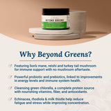 Live Conscious Beyond Greens – boîte intérieure: probiotiques et prébiotiques pour énergie et équilibre.