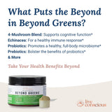 Live Conscious Beyond Greens, shaker: mélange pratique pour rituel matinal sain.