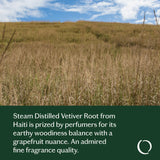 Livedrops 24/7 Vetiver goutte d'huile pour application ciblée.