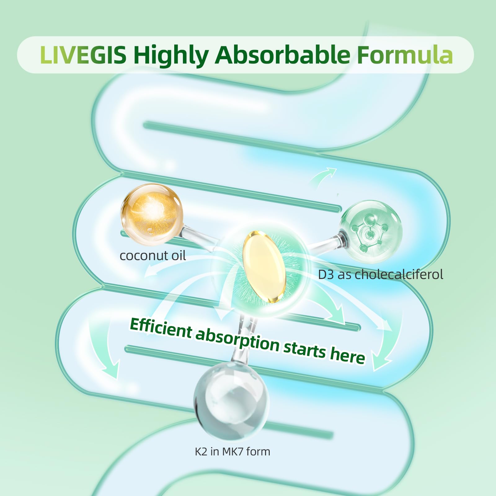 LIVEGIS Immunité renforcée, vitamine liposoluble associée, bien-être quotidien.