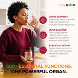LIVEGOOD pissenlit — racine favorisant l'élimination naturelle des liquides.