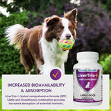 LiverTrio+ composition SPC SAMe Glutathione pour meilleure absorption