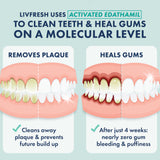 LIVFRESH Gel Dentaire – application douce et rafraîchissante après chaque brossage