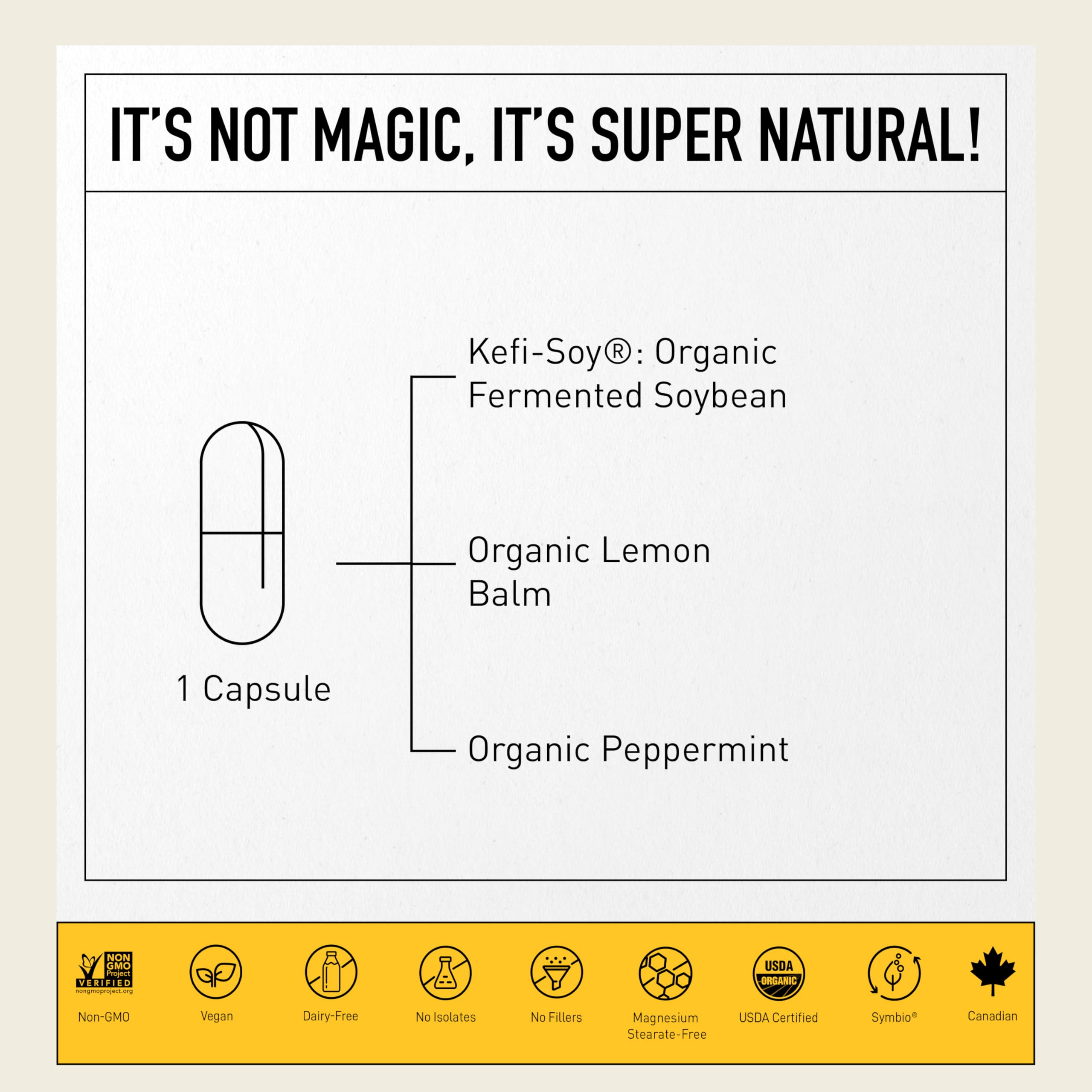 Fermentation Symbio Kefir-Kombucha par Living Alchemy pour absorption améliorée