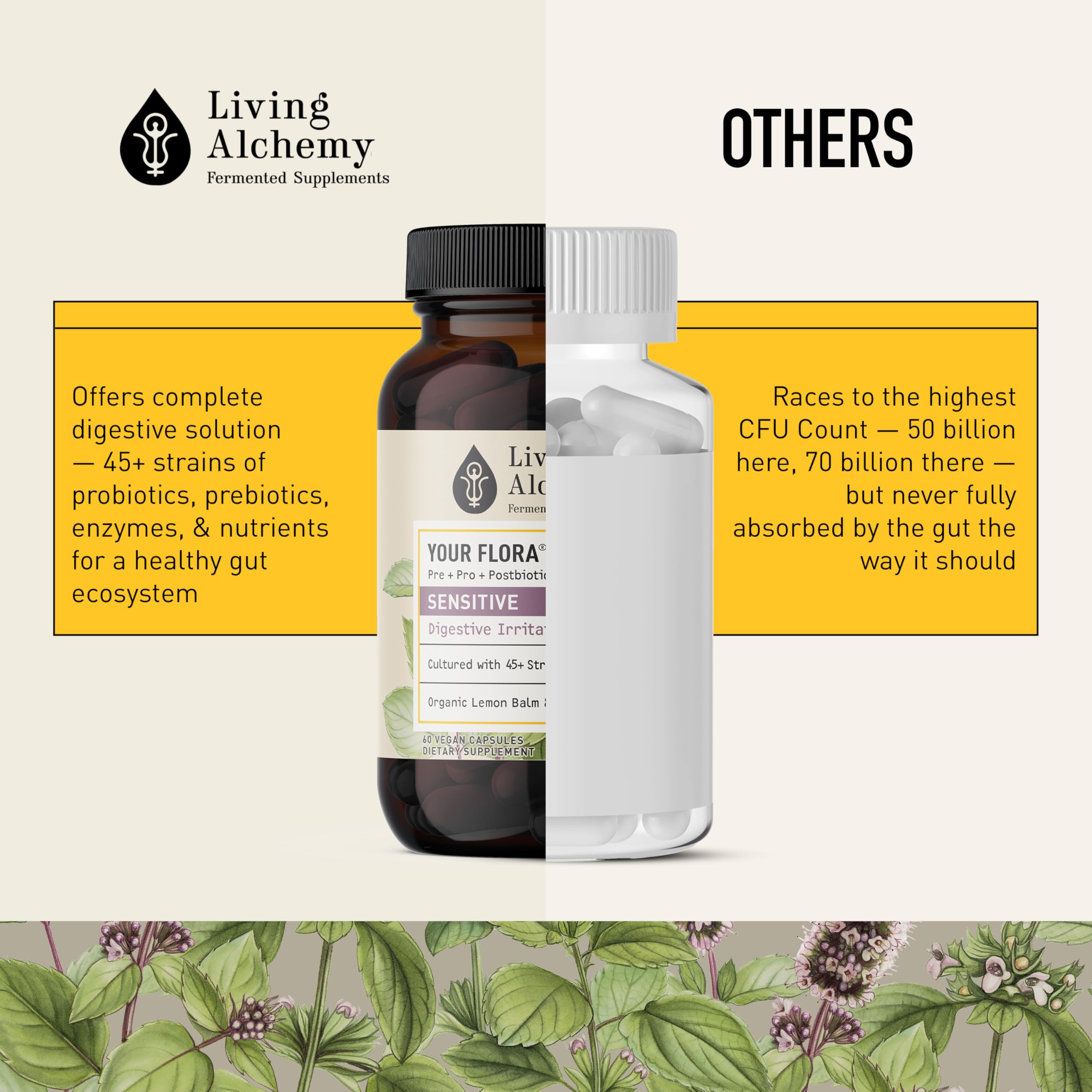 Mélisse – ingrédient botanique apaisant dans Living Alchemy