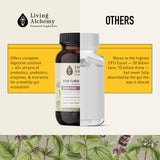 Mélisse – ingrédient botanique apaisant dans Living Alchemy