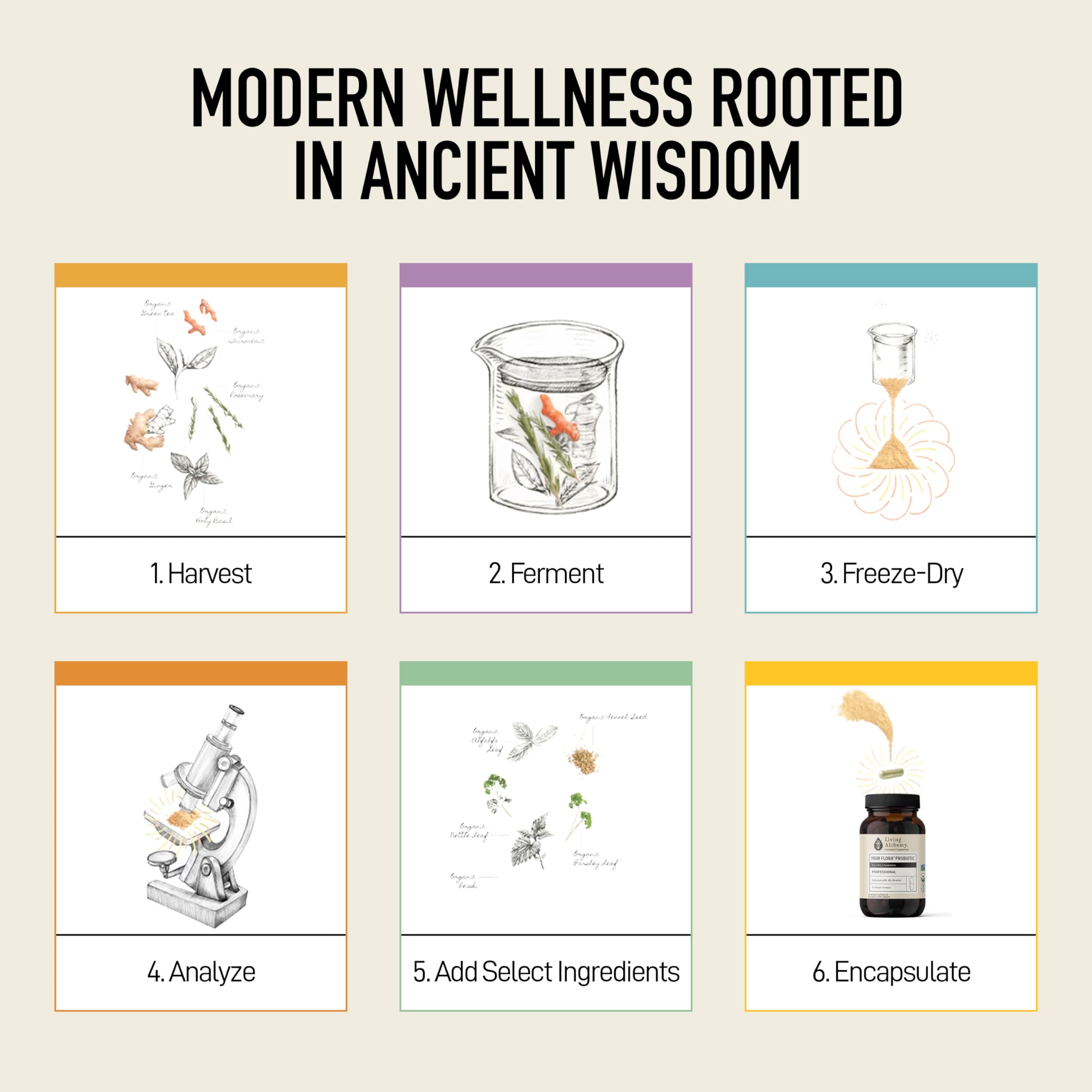 Living Alchemy: utilisation quotidienne, capsules faciles à intégrer.
