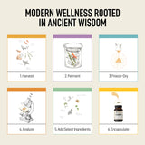 Living Alchemy: utilisation quotidienne, capsules faciles à intégrer.