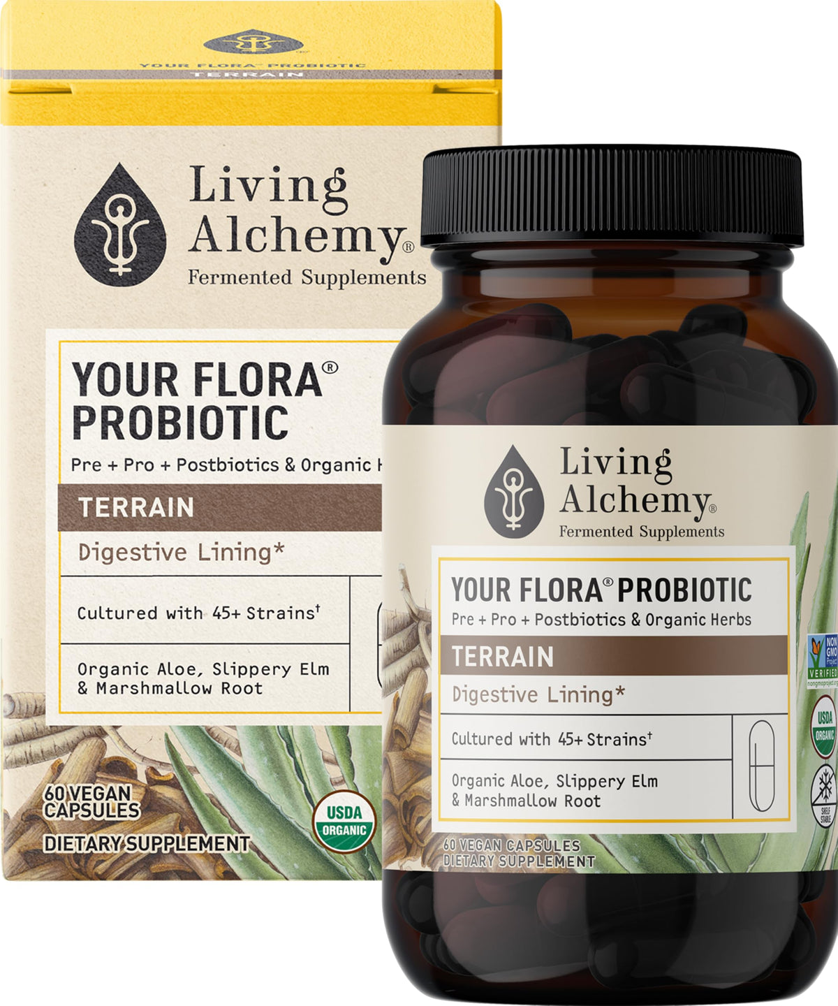 Living Alchemy Your Flora Terrain : bouteille montrant fermentation naturelle pour le bien-être intestinal.