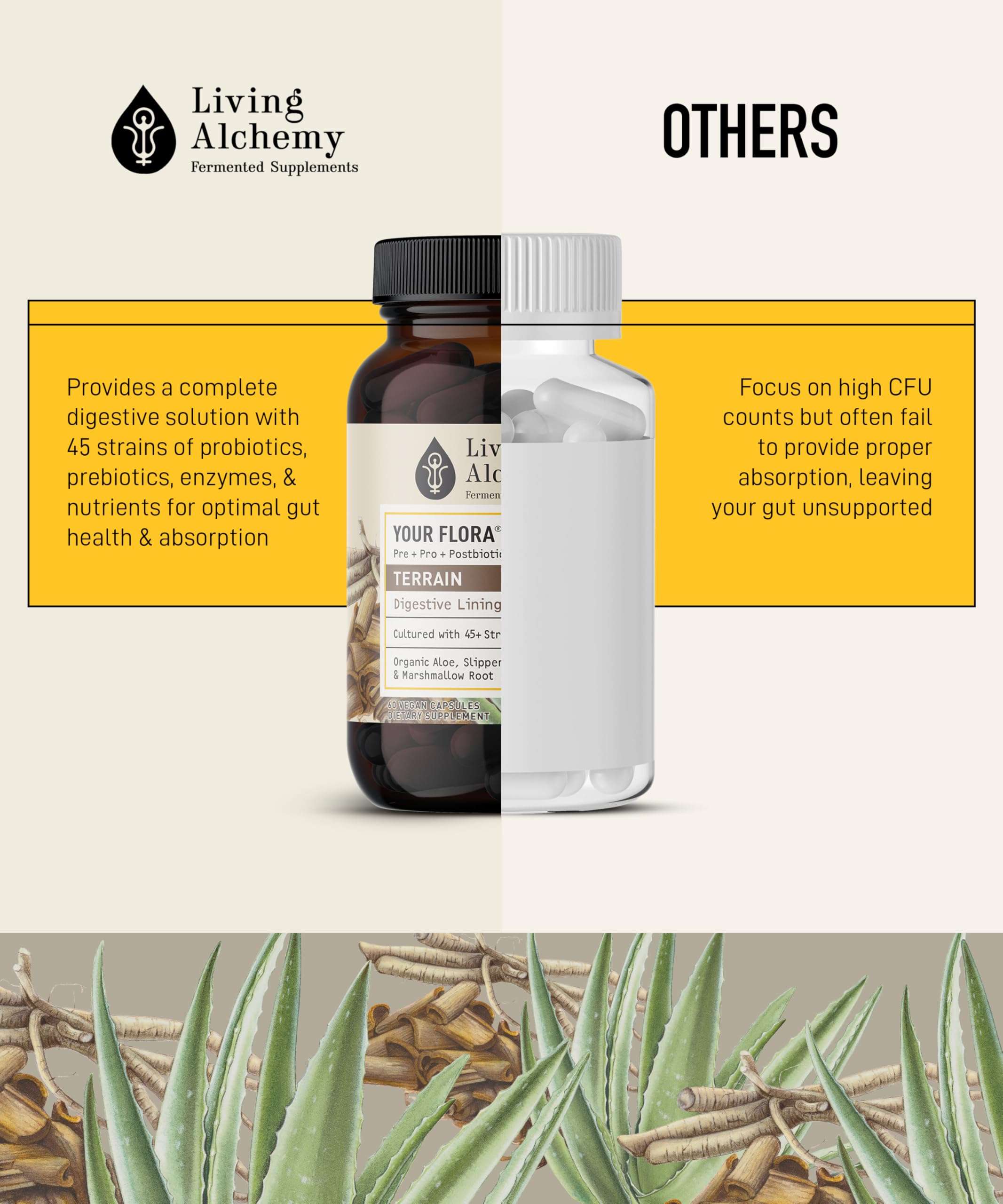 Living Alchemy Your Flora Terrain – dosage quotidien: deux capsules, sans contraintes majeures.