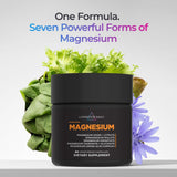 Livingood Daily: capsules magnésium absorption grâce à la chicorée.