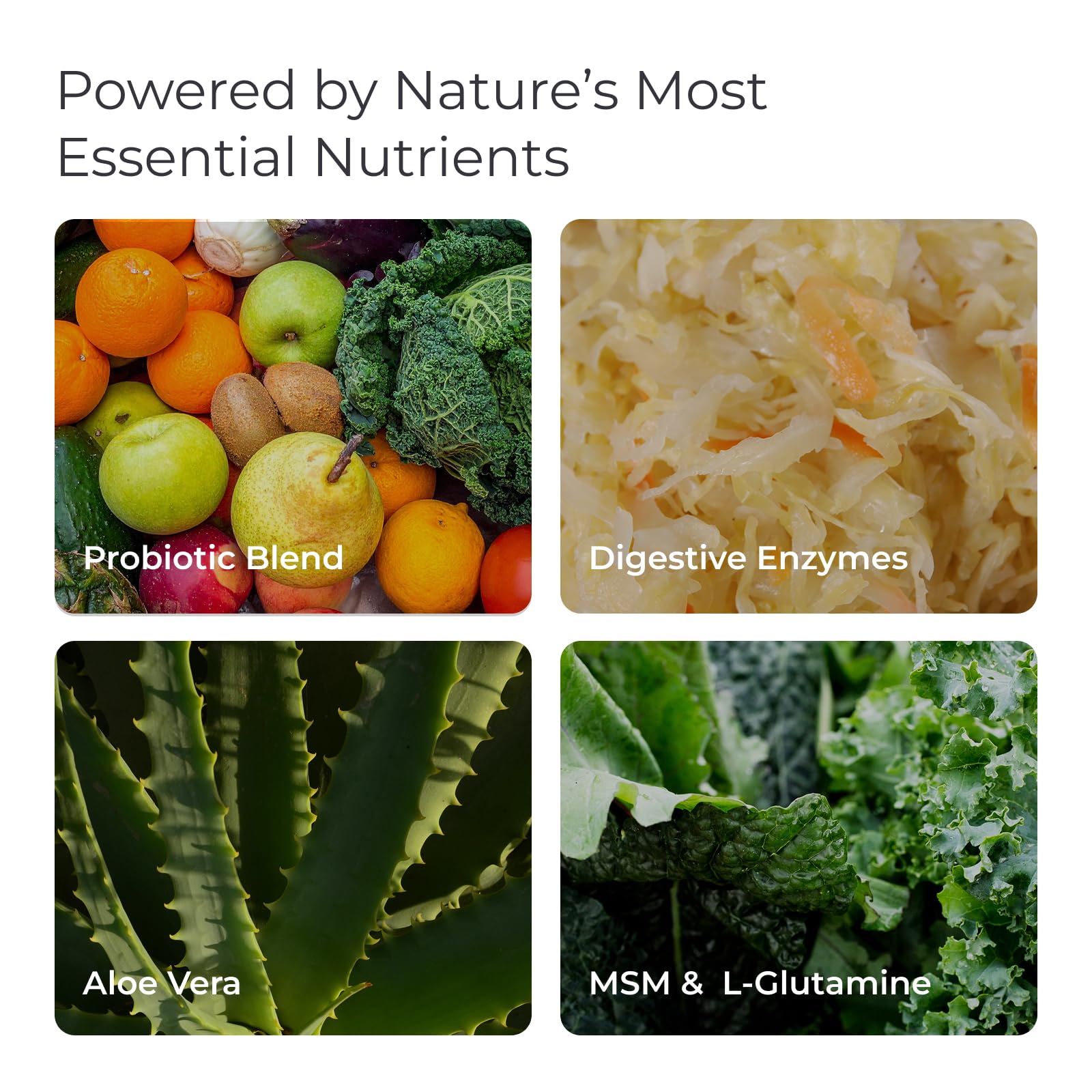 Enzymes et probiotiques Livingood Daily Gut Cleanse soutiennent la décomposition des nutriments.