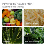 Enzymes et probiotiques Livingood Daily Gut Cleanse soutiennent la décomposition des nutriments.