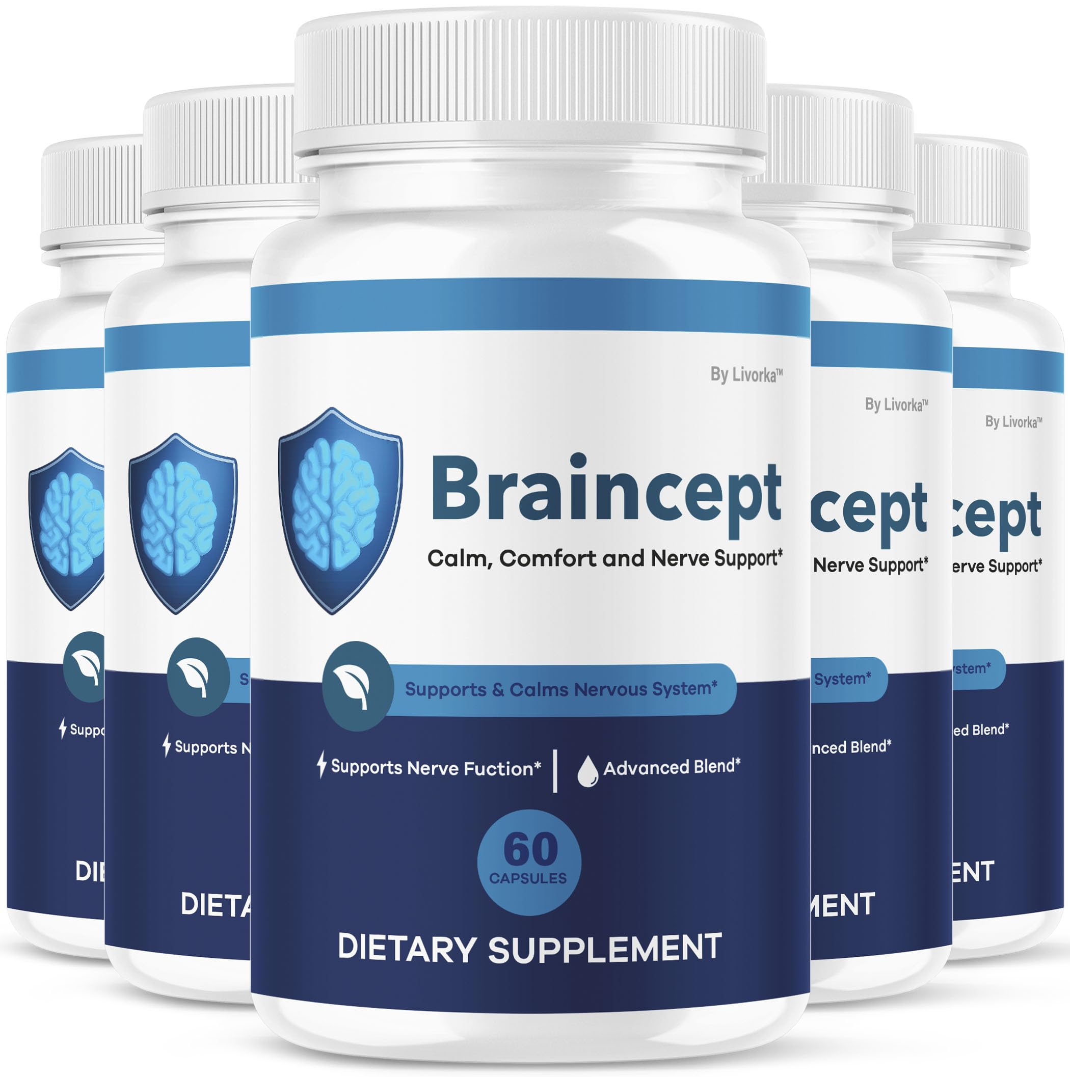 Braincept LIVORKA dans sa boîte, pratique pour le rangement.