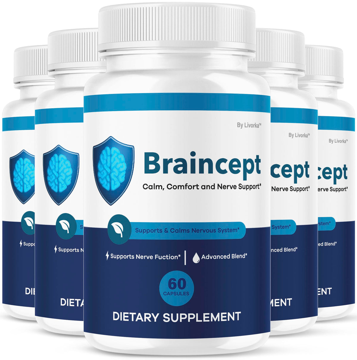 Braincept LIVORKA dans sa boîte, pratique pour le rangement.