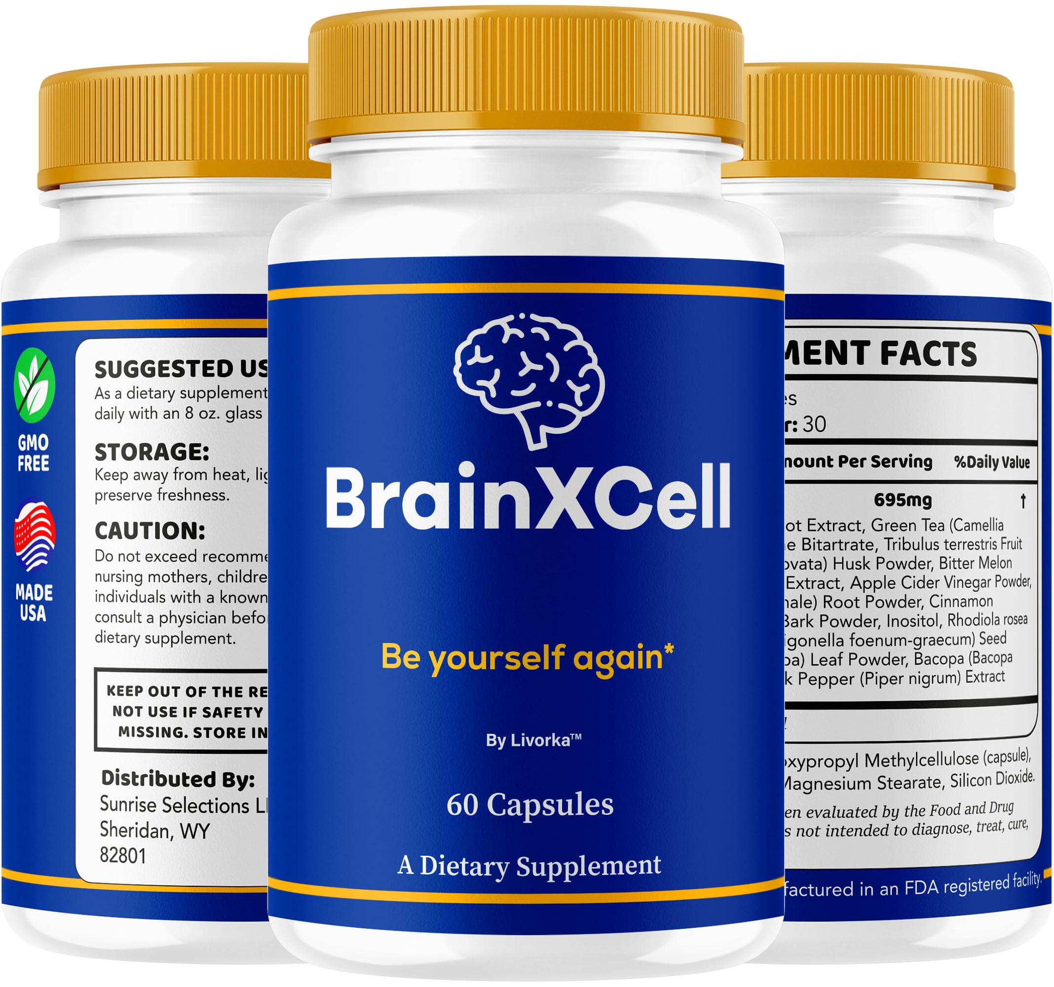 LIVORKA BrainXCell – boîte épurée, rangement facile et accès rapide