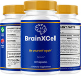 LIVORKA BrainXCell – boîte épurée, rangement facile et accès rapide