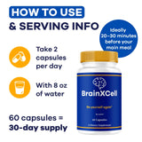 LIVORKA BrainXCell – gélules en gros plan, rituel matinal stimulant potentiel