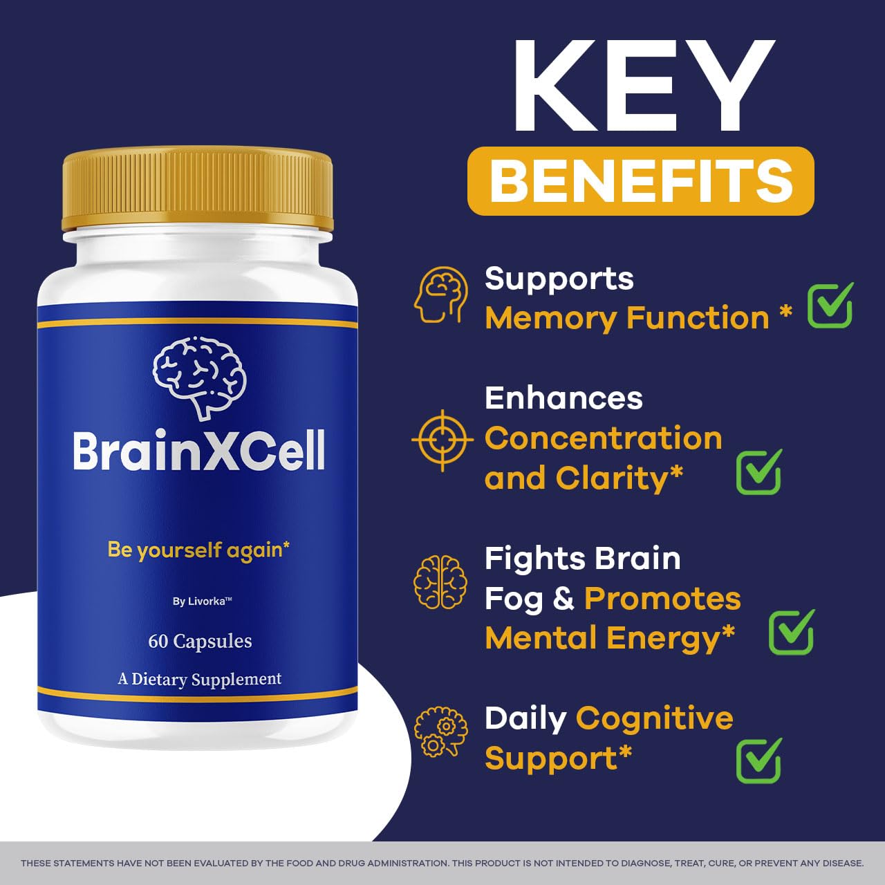 LIVORKA BrainXCell – gélules ensemble, complément quotidien pour la concentration