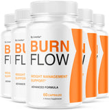 LIVORKA Burn Flow Bouteille — présentation élégante pour le bien-être quotidien.
