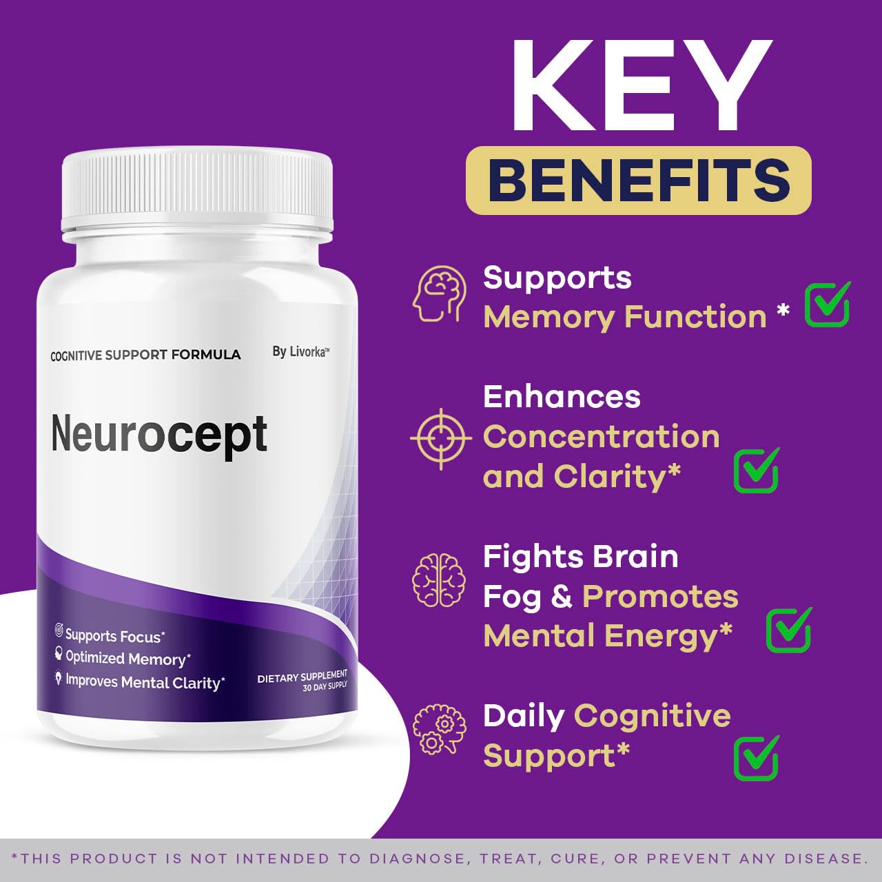 Boîte Neurocept LIVORKA: emballage compact et pratique.