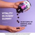 LIVS Fer Gummies : dose de 20 mg de fer par portion.