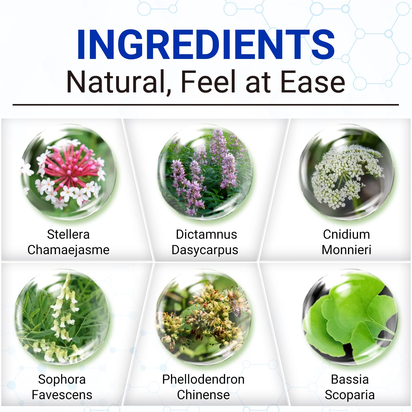 LMNOOP Soin Eczéma Crème – Ingrédients naturels favorisant une barrière cutanée renforcée.