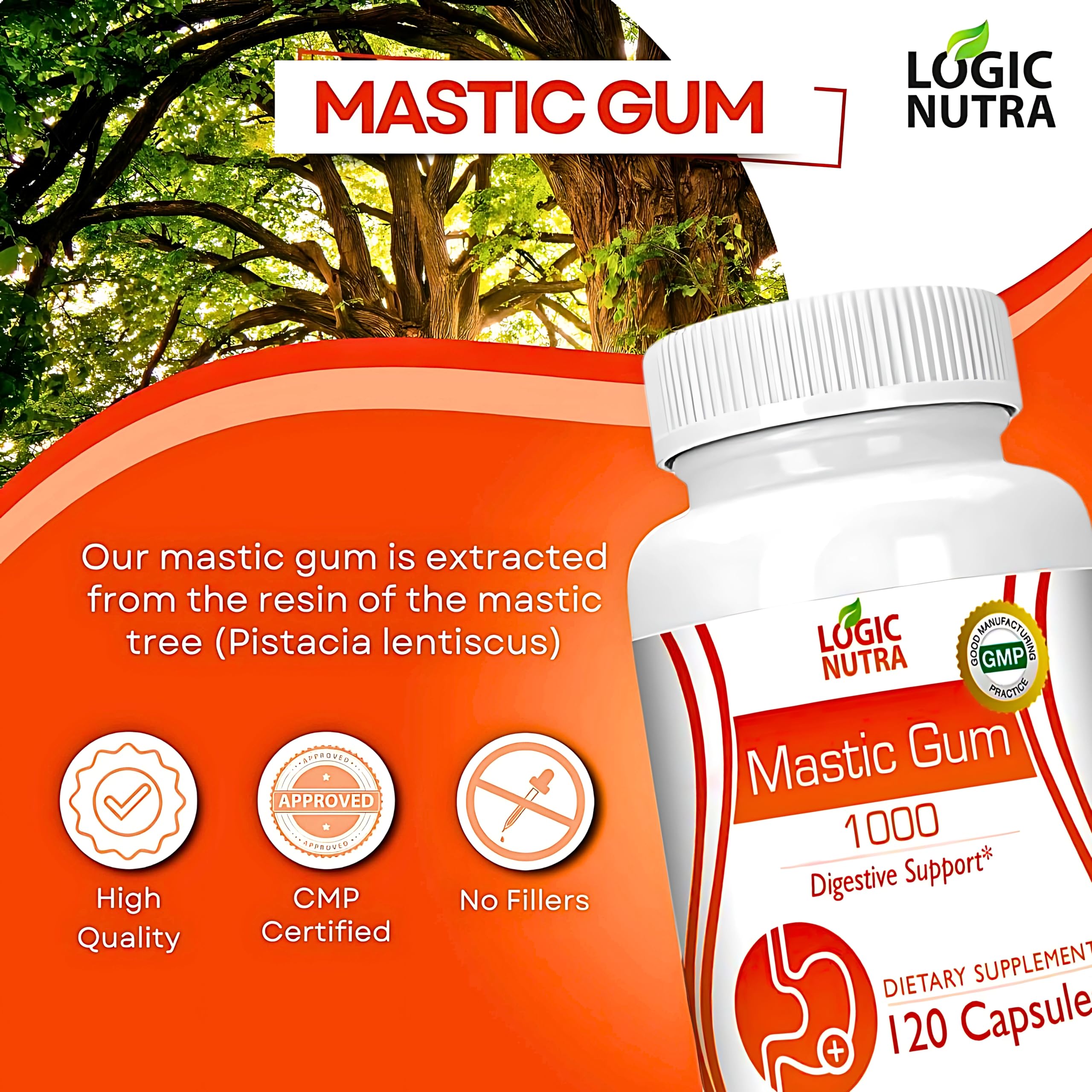 Logic Nutra Premium Mastic Capsules – soutien potentiel lors de trajets et voyages.