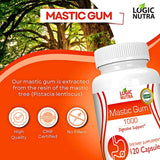 Logic Nutra Premium Mastic Capsules – soutien potentiel lors de trajets et voyages.