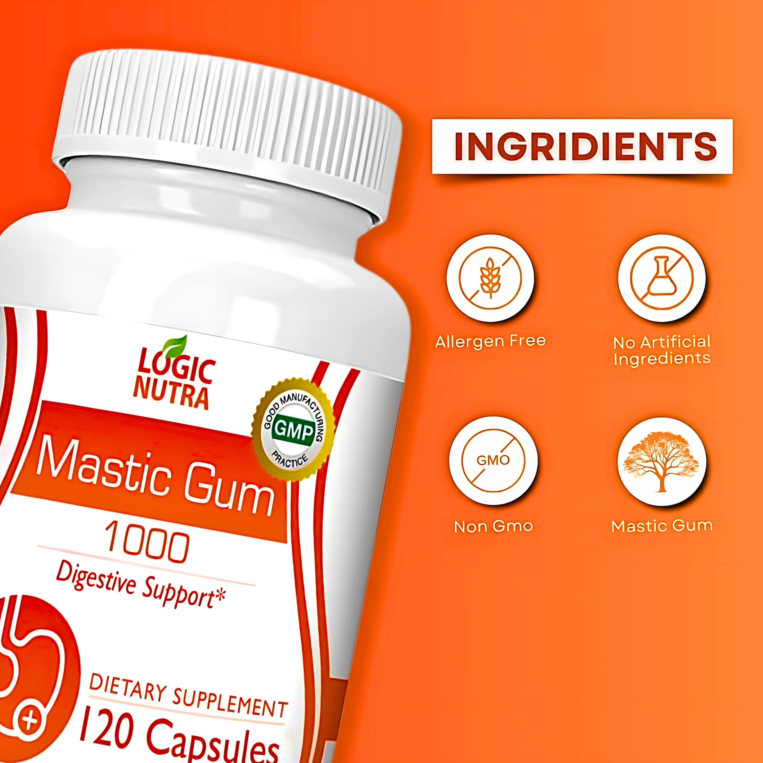 Logic Nutra Premium Mastic Capsules – résine Pistacia Lentiscus, source naturelle.