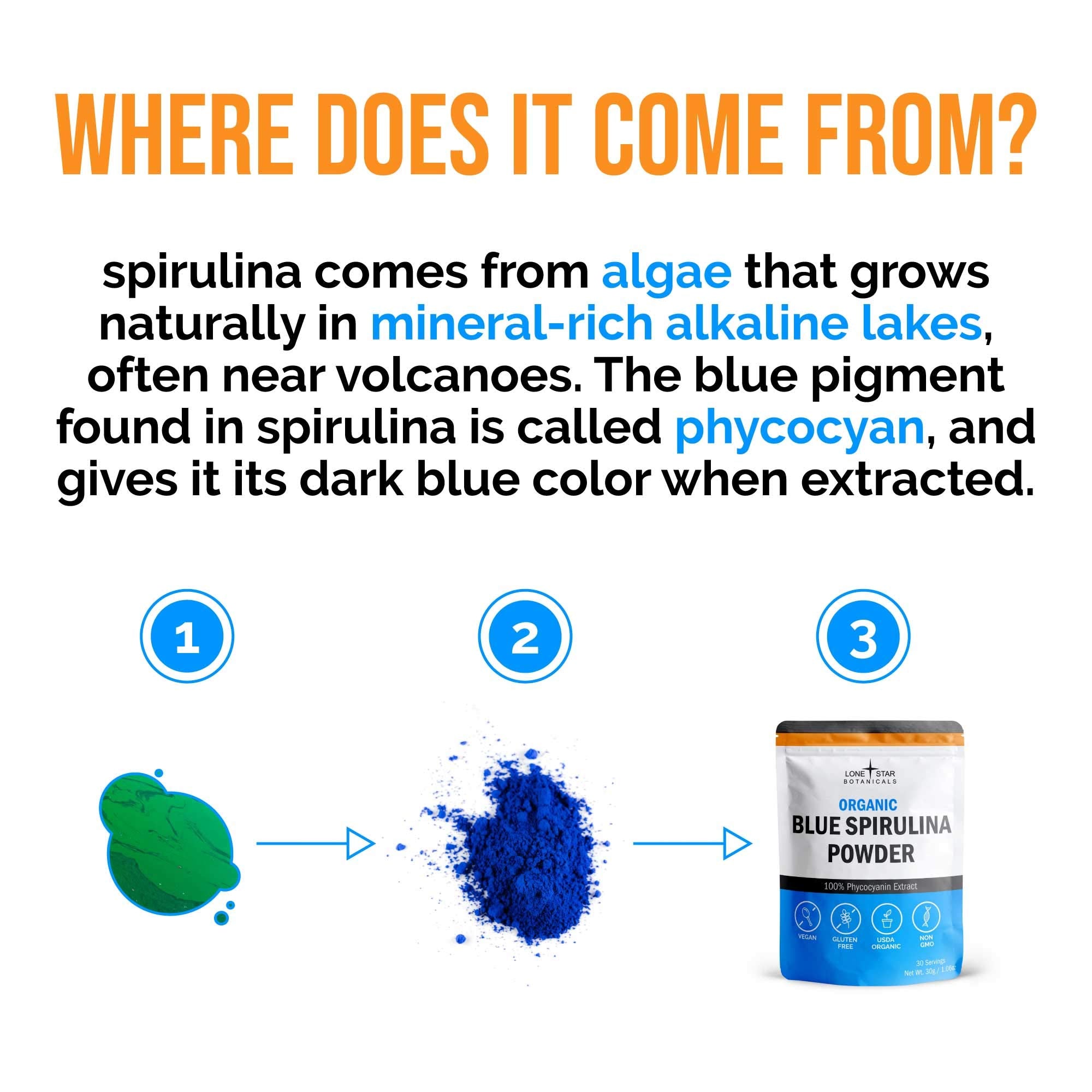 Bol spiruline bleue de Lone Star Botanicals, parfait pour un petit-déjeuner protéiné et coloré.