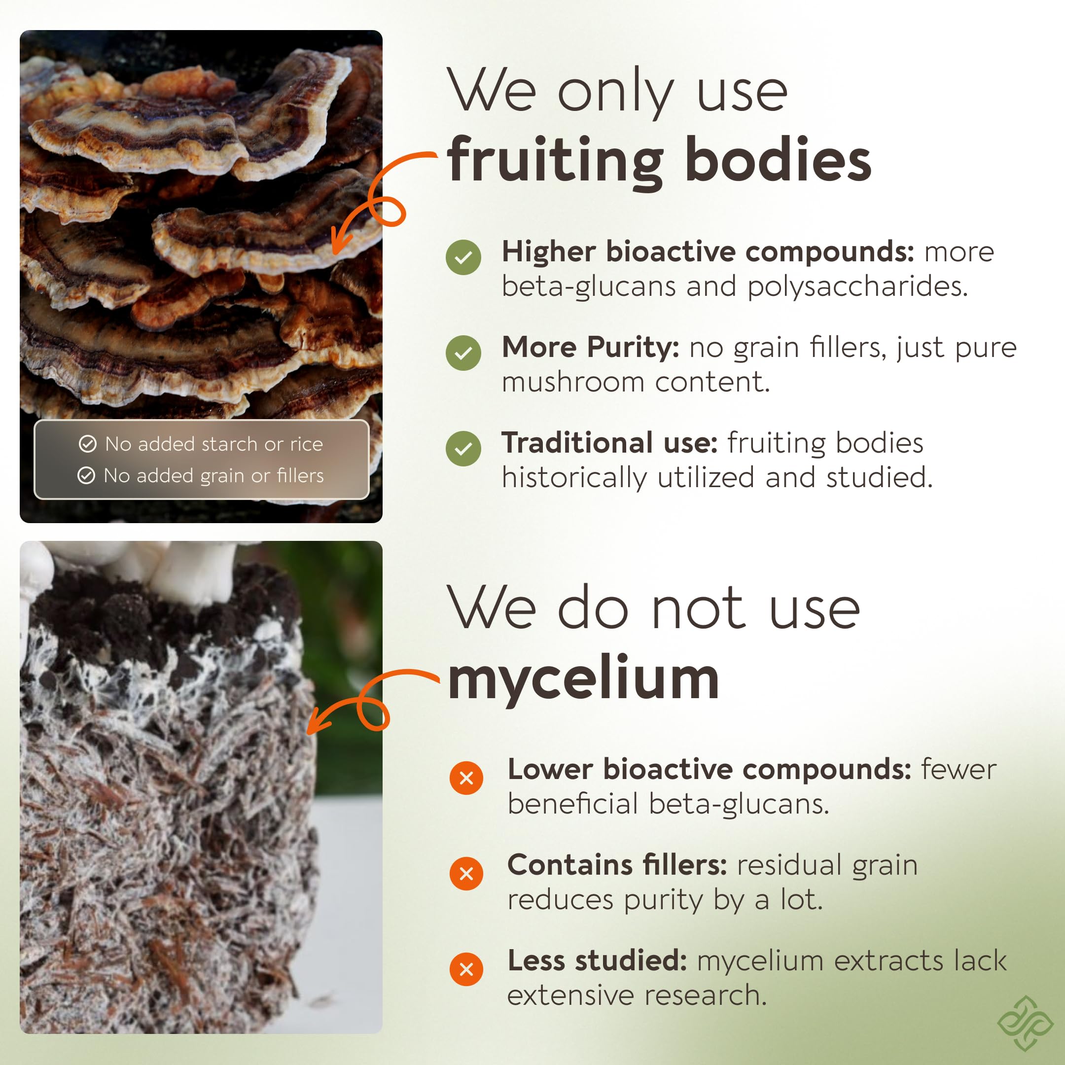 Capsules riches en beta-glucanes; soutien possible du microbiome et de l’immunité.