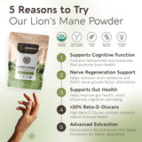Longevity Botanicals Crinière de Lion extrait 8:1, fortifiant clarté mentale et focus