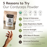 Cordyceps Longevity Botanicals extrait 10:1, concentration élevée pour endurance.