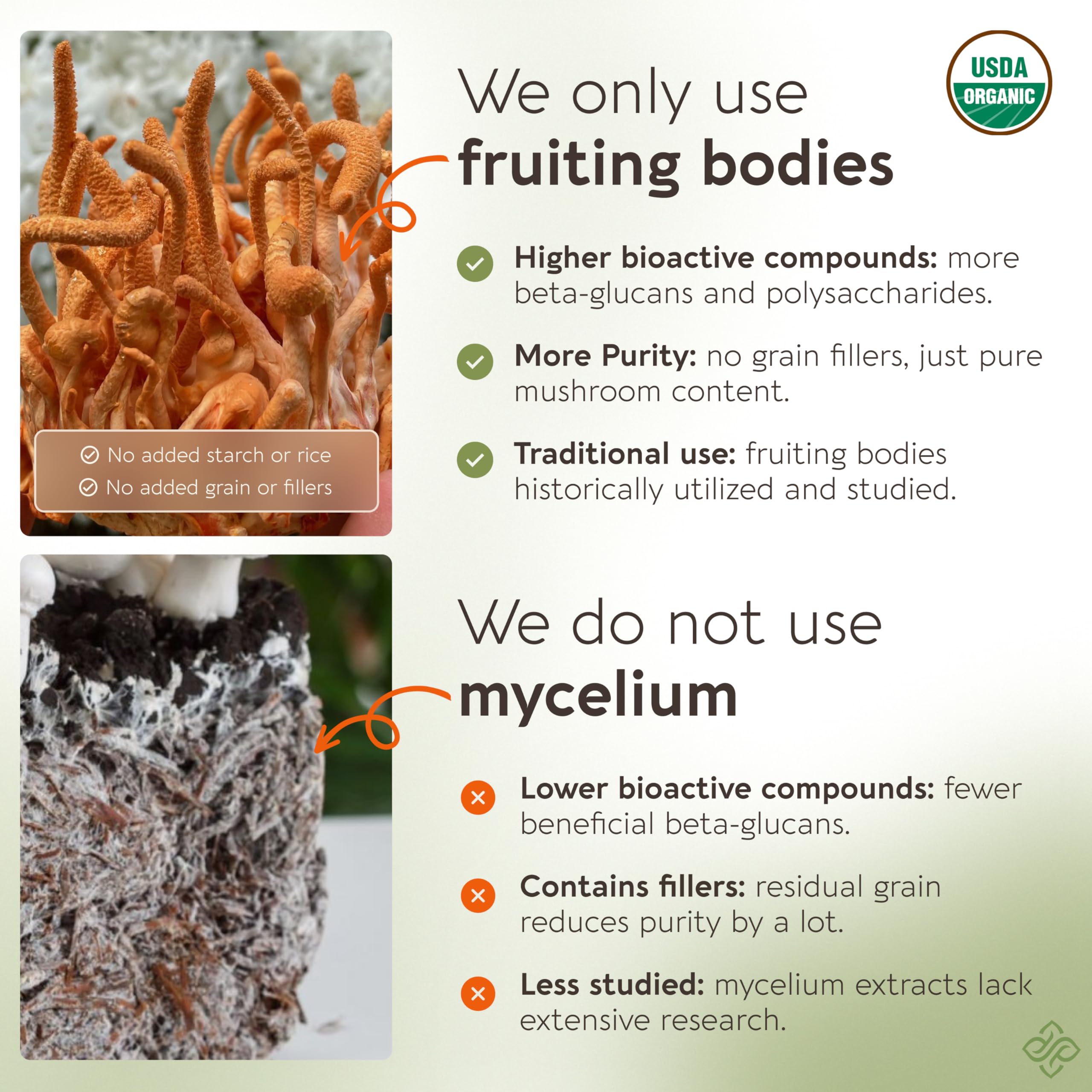 Cordyceps Longevity Botanicals flacon bio, utilisation pratique.