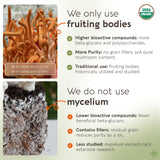 Cordyceps Longevity Botanicals flacon bio, utilisation pratique.