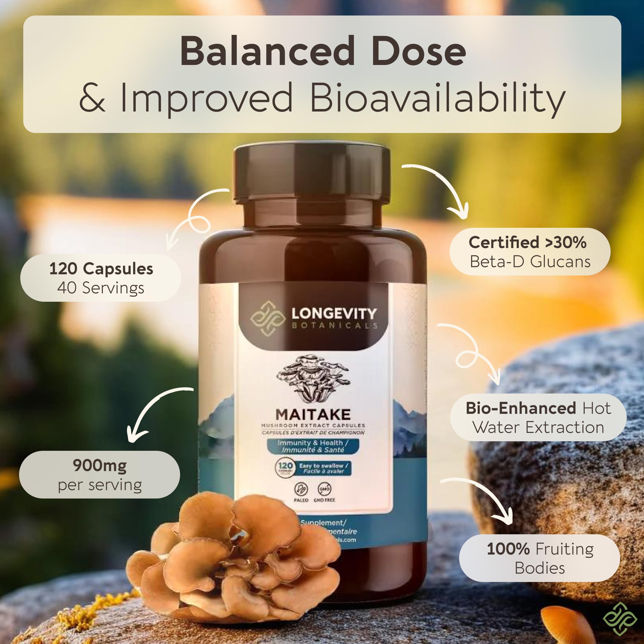 Longevity Botanicals Maitake: teneur en bêta-d-glucanes élevée pour efficacité.