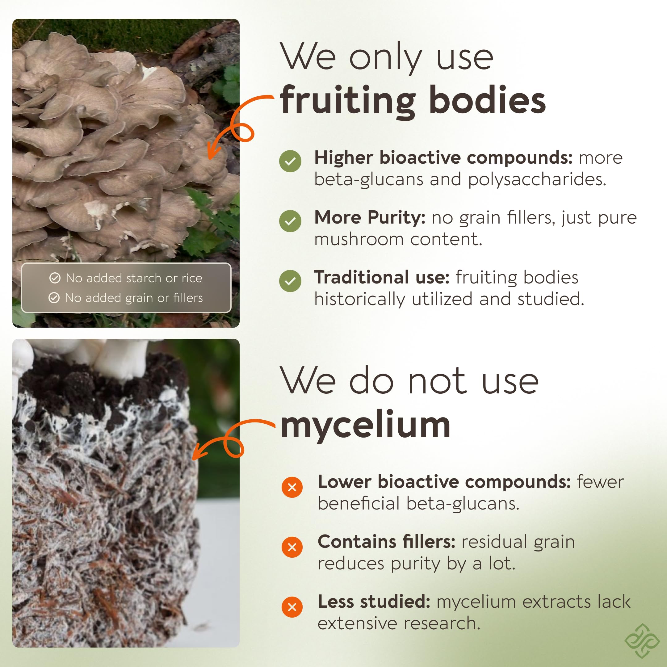 Maitake Longevity Botanicals extrait: extraction chaude améliore l'absorption des nutriments.