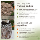 Maitake Longevity Botanicals extrait: extraction chaude améliore l'absorption des nutriments.