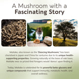 Longevity Botanicals Maitake: sans gluten ni additifs, capsules véganes.