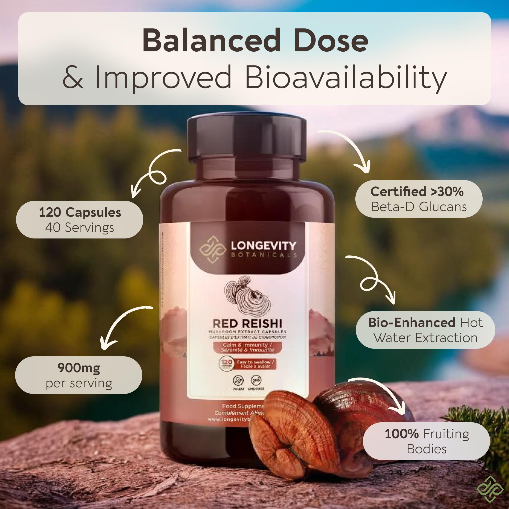 Bouteille Longevity Reishi et verre d’eau, démonstration d’utilisation quotidienne.