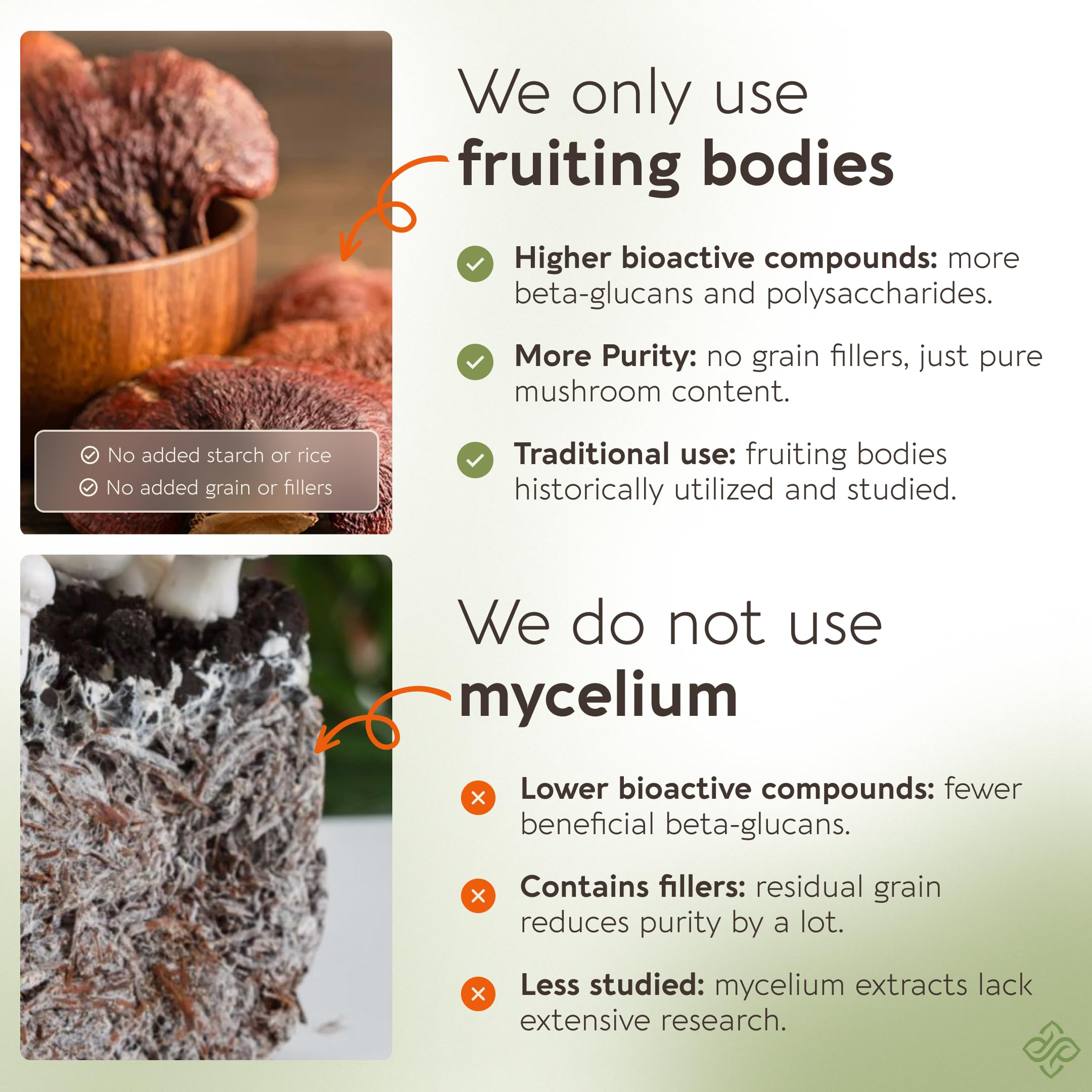 Capsules Reishi Longevity dans la main, format pur et facile à prendre.