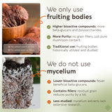 Capsules Reishi Longevity dans la main, format pur et facile à prendre.